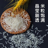 百鲜翁 长粒香大米  5KG/袋 商品缩略图4