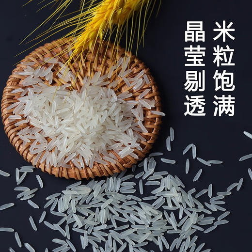 百鲜翁 长粒香大米  5KG/袋 商品图4