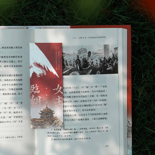 女主临朝：武则天的权力之路 商品图5