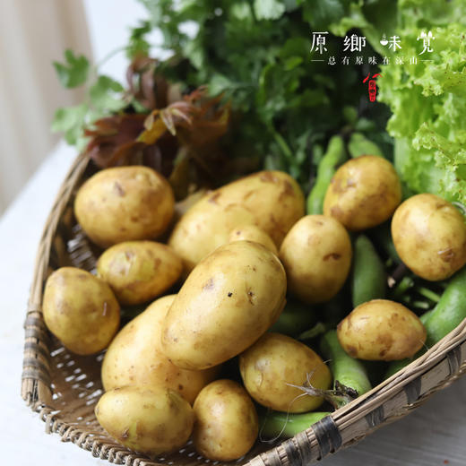 生态春土豆/洋芋/马铃薯（农场直发-顺丰包邮）| 5斤/箱，成都郫都区基地，【原乡农场，自产自销】 商品图4