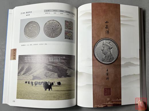 藏洋图志 商品图6