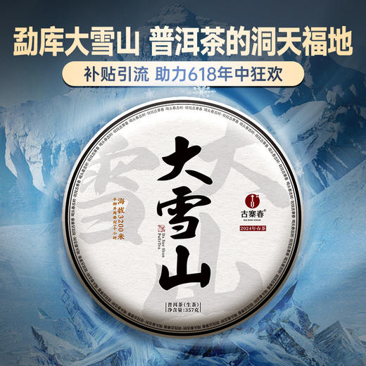 【大雪山】2024年头春头采临沧大雪山高海拔生茶357克茶饼，拍1发2拍5发11拍10发22 商品图0