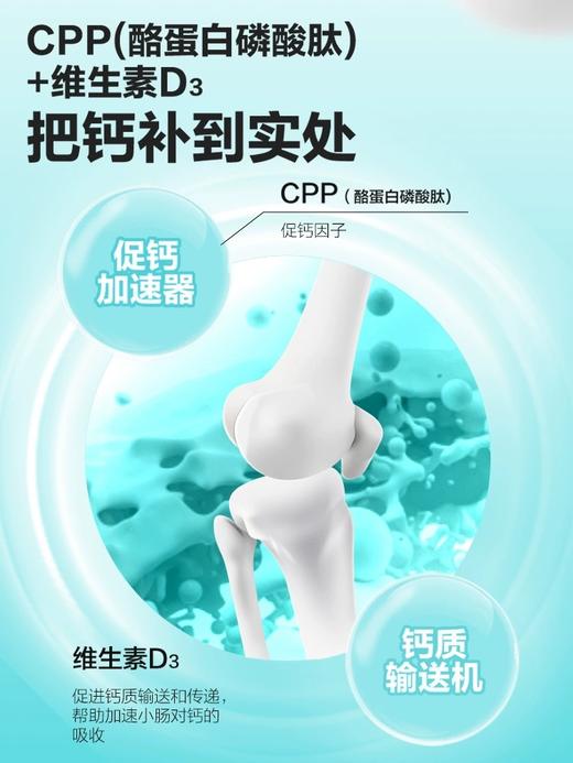 「天然温和补钙」卫仕 犬用狗狗乳钙片400片 商品图4