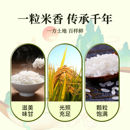 百鲜翁 长粒香大米  5KG/袋 商品图1