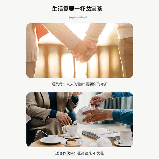 爆款🔥🔥🔥【戈宝红麻】罗布麻袋泡茶适合血压偏高者 中老年养生茶礼盒4.5g*10袋 商品图2