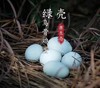 【高原散养绿壳蛋】 原生态 绿壳乌骨鸡蛋 胆固醇比普通鸡蛋低  30枚/份【生鲜发出不退不改，签收及时取出放在冰箱保鲜】（它比普通鸡蛋小） 商品缩略图1
