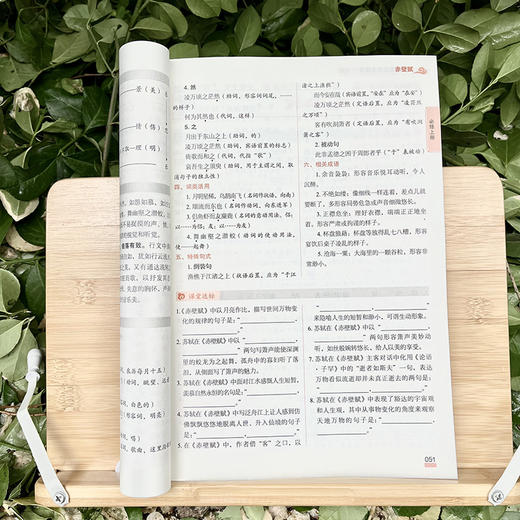 高中文言文完全解读一本通 商品图3
