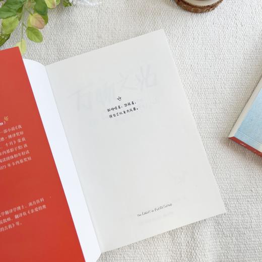 万物之光   青色风筝飞走了   五年级共读套装正版现货速发|名师推荐|小学生课外阅读 商品图2