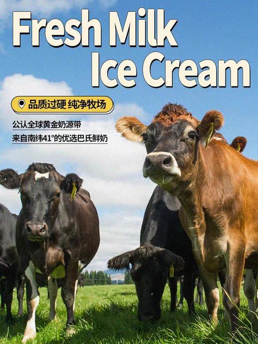 新西兰TipTop冰淇淋 香浓醇厚 送挖勺 商品图2