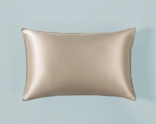 TAIHUSNOW太湖雪真丝纯色枕套 商品图2