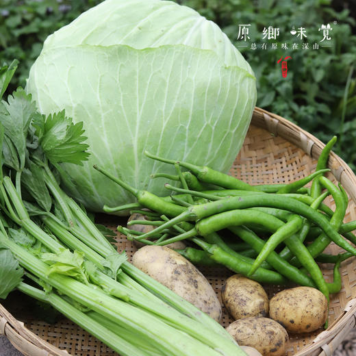 【份额/单次】生态蔬菜包（农场直发-顺丰包邮）| 4.5斤/箱，6斤/箱，单次体验/月度份额/年度份额【原乡农场，自产自销】【下单请先阅读注意事项】 商品图7