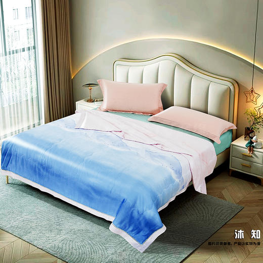 鑫缘 极爽可水洗桑蚕丝被 AEPD0320 商品图0