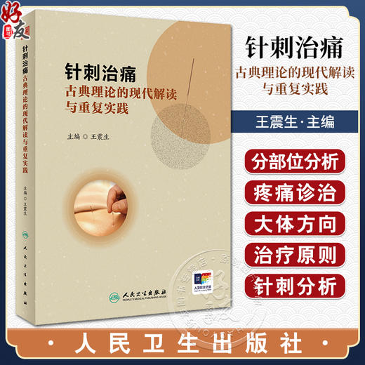 针刺治痛 古典理论的现代解读与重复实践 王震生 中医针刺治疗 疼痛诊治大体方向 临床典型病例分析 人民卫生出版社9787117359238 商品图0