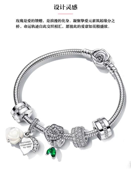 百货世界-潘多拉玫瑰之约手链套装 商品图0