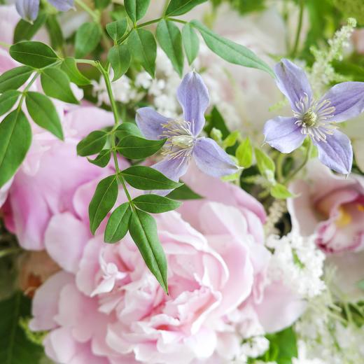 水木明瑟 Bright Scenery 商品图2