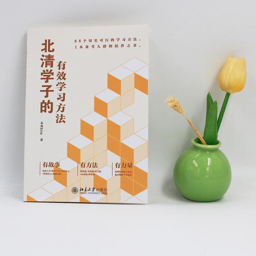 北清学子的有效学习方法 未央Erin 著 北京大学出版社 商品图4