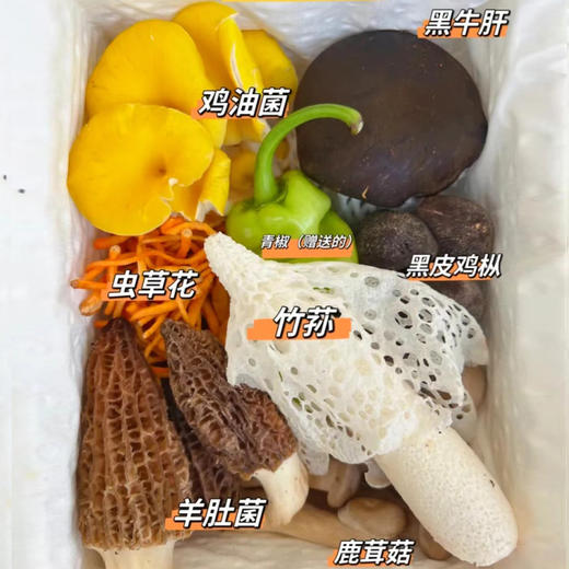 云南鲜菌菇组合 商品图0