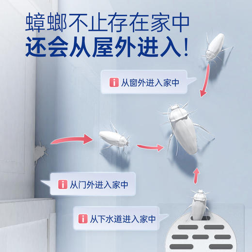 德国拜耳 除敌广谱杀虫剂 商品图2