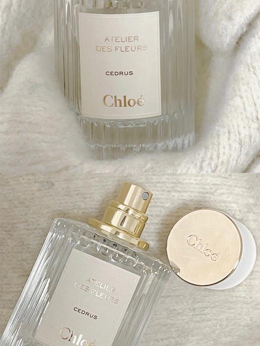 蔻依仙境花园香氛礼盒 木兰诗语/北国雪松 限定首发 木兰诗语50ml+北国雪松10ml+春日水仙10ml/北国雪松50ml+木兰诗语10ml+繁与依兰10ml 送香水礼品袋【CDF】 商品图4