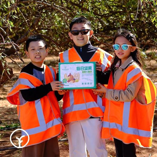 SGS308项农残未检出-远方定制未添加每日坚果】源自全球优选原料 只用整颗大果营养丰富 口感纯正 老人孕妇小孩均可食用 商品图3