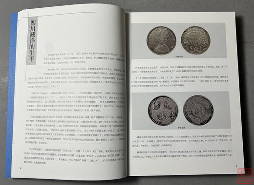 藏洋图志 商品图4