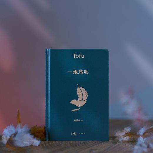 【茅盾文学奖作品】《刘震云作品集》（全4册） 商品图2