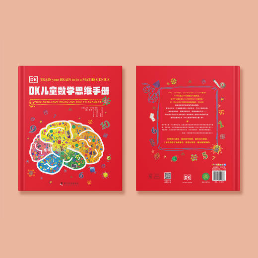 《DK 儿童数学思维手册》 商品图14