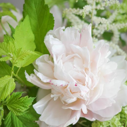 水木明瑟 Bright Scenery 商品图3