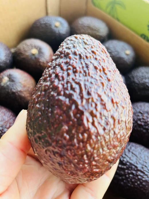 秘鲁即食牛油果！如果你吃的牛油果寡淡无味，还十分的腥气，那你得来尝尝秘鲁的哈斯牛油果🥑不仅是奶油般顺滑的口感，还有一股奶香味[色][色][色]吃就吃～5粒 商品图2