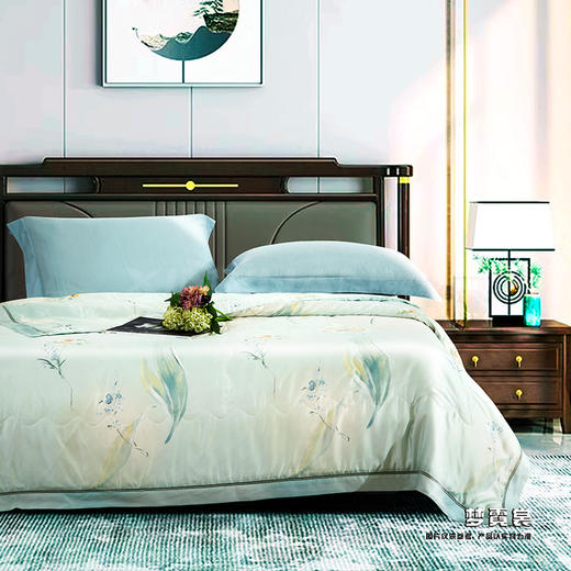 鑫缘 极爽可水洗桑蚕丝被 AEPD0320 商品图4