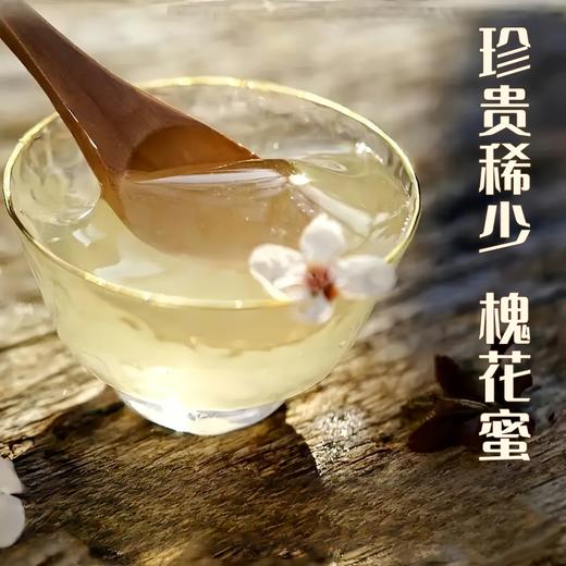 热销【自营】槐花蜂蜜 2025槐花蜜上市 商品图0