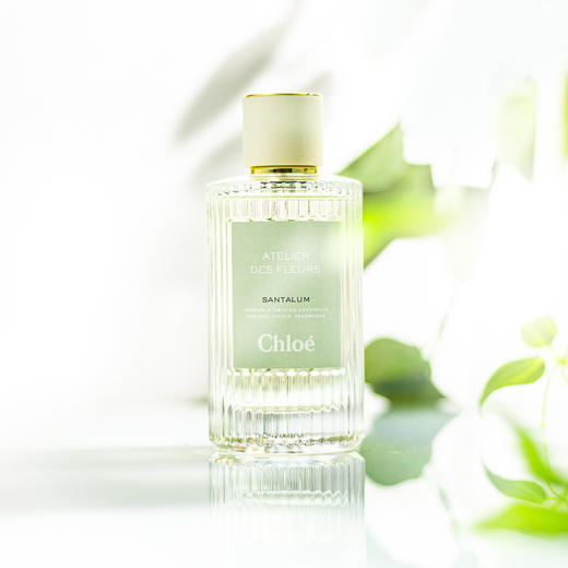 蔻依 仙境花园系列-檀木夜旅 Chloe Atelier des Fleurs Santalum 分装 商品图7