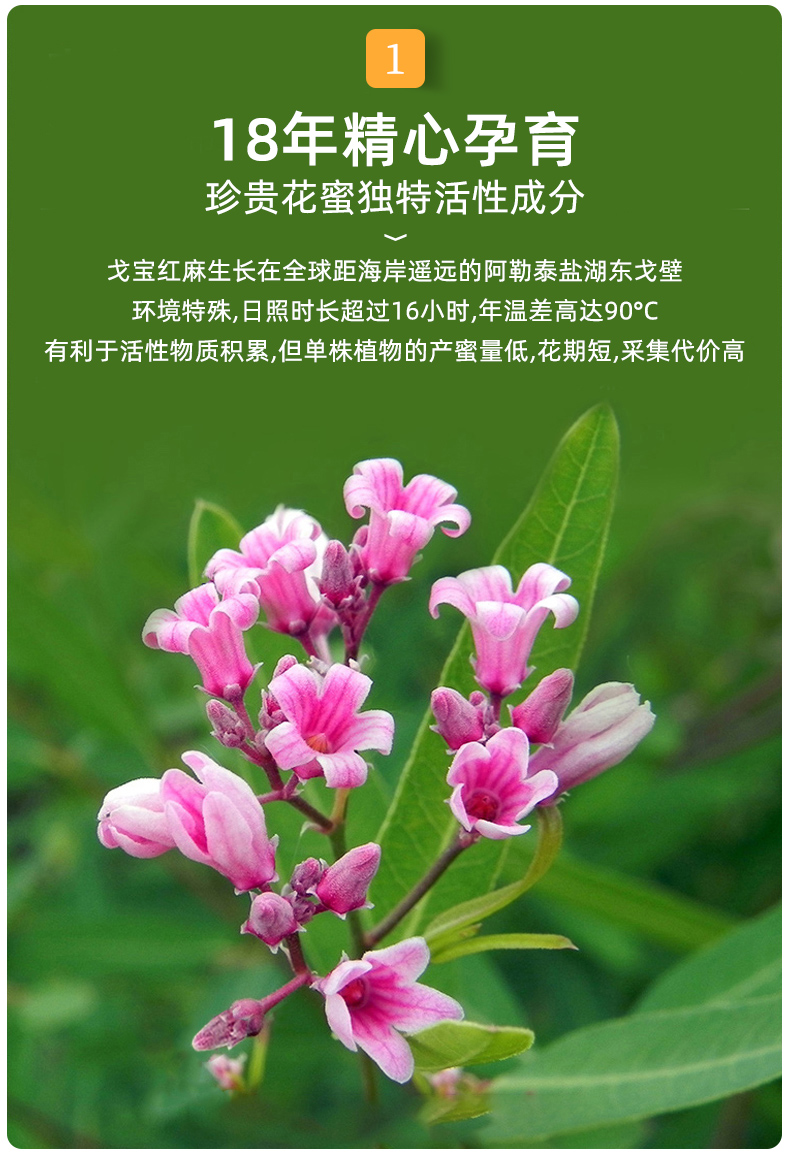 戈宝红麻花蜜 新疆阿勒泰罗布麻蜂蜜 早餐代餐伴侣 230g/罐