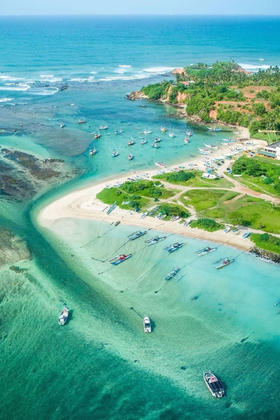 寒假斯里兰卡9日双证保育员计划儿童独立营，明星同款大象+海龟义工，解锁北纬7°的治愈微笑，收获NGO双认证