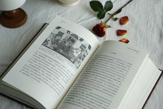 （5折包邮）印度文明史 商品图2