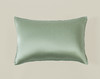 TAIHUSNOW太湖雪真丝纯色枕套 商品缩略图3