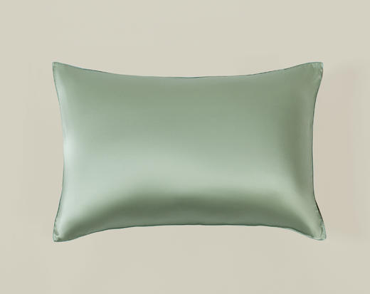 TAIHUSNOW太湖雪真丝纯色枕套 商品图3