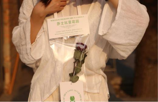 《莎士比亚戏剧故事》 文创礼盒（含书） 商品图3