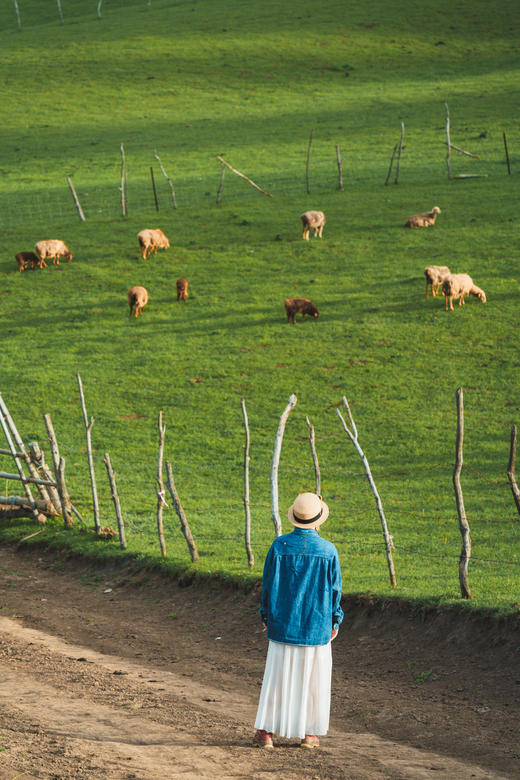 新疆“伊犁天山来客” 之旅 商品图0