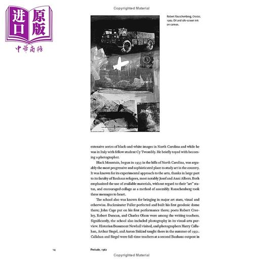 预售 【中商原版】How Photography Became Contemporary Art 进口艺术 摄影如何成为当代艺术 Yale  商品图4