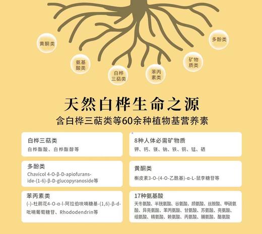 【12倍浓缩白桦树汁 】称为“生命之水”，养生佳品 增强免yi力，酒后护肝，消炎 散结，缓疲劳，美容养yan，滴滴珍贵 商品图12