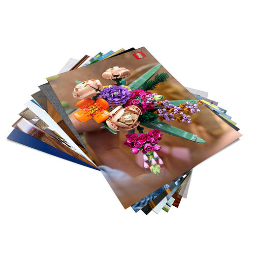 乐高以爱之名 商品图4