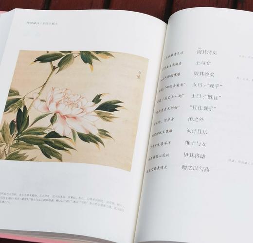 《诗经译注》（彩图珍藏本），精装，16开，全2册，程俊英译注，[日]细井徇等绘，上海古籍出版社2022年一版三印，916页，定价198元，售价82元。品相9成。 商品图10