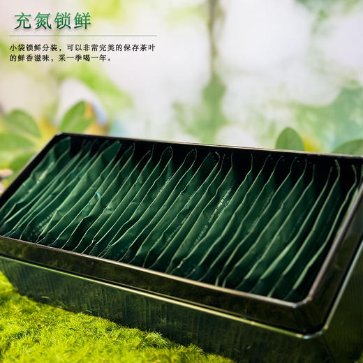 珠蓓蕾碧螺春智之春 商品图3