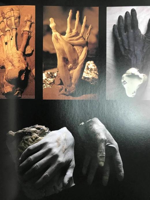 塑造人类：科学、艺术与想象如何帮助理解我们的起源 数百幅插图 精装16开 商品图13