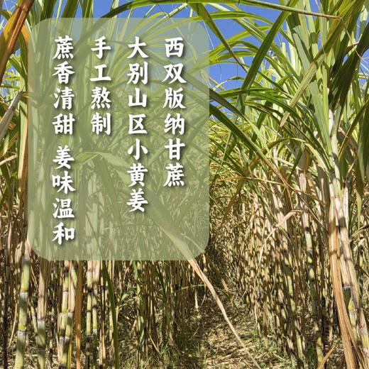 谦益象遇 姜汁红糖160g/盒（2盒可包邮） 商品图4