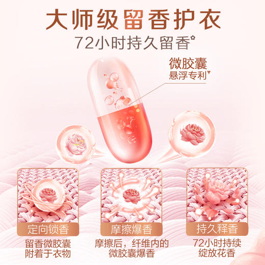 立白大师香氛洗衣液（2kg*2(瓶）+500g*4（袋）+内衣洗80g*3） 商品图4