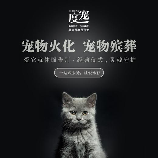 度宠北京宠物火化/宠物殡葬/超度仪式/骨灰庙存服务 商品图0