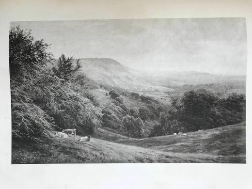 32.5*25.5cm！1898年 乔治·维卡特·科尔的生平与画作（全3卷合订本） 百余幅插图 漆布精装8开 商品图11