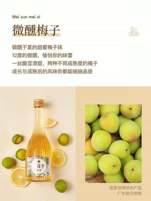 300ml梅花里青梅酒12度 商品图2